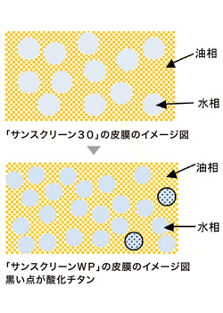 sun-wp-zu